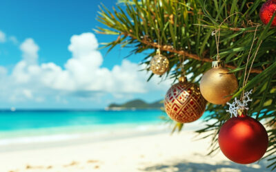 Holiday Marketing Tips for Far North Queensland Businesses (What to Do Before Peak Season)